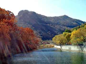 新澳天天开奖资料大全旅游团，董浩的画